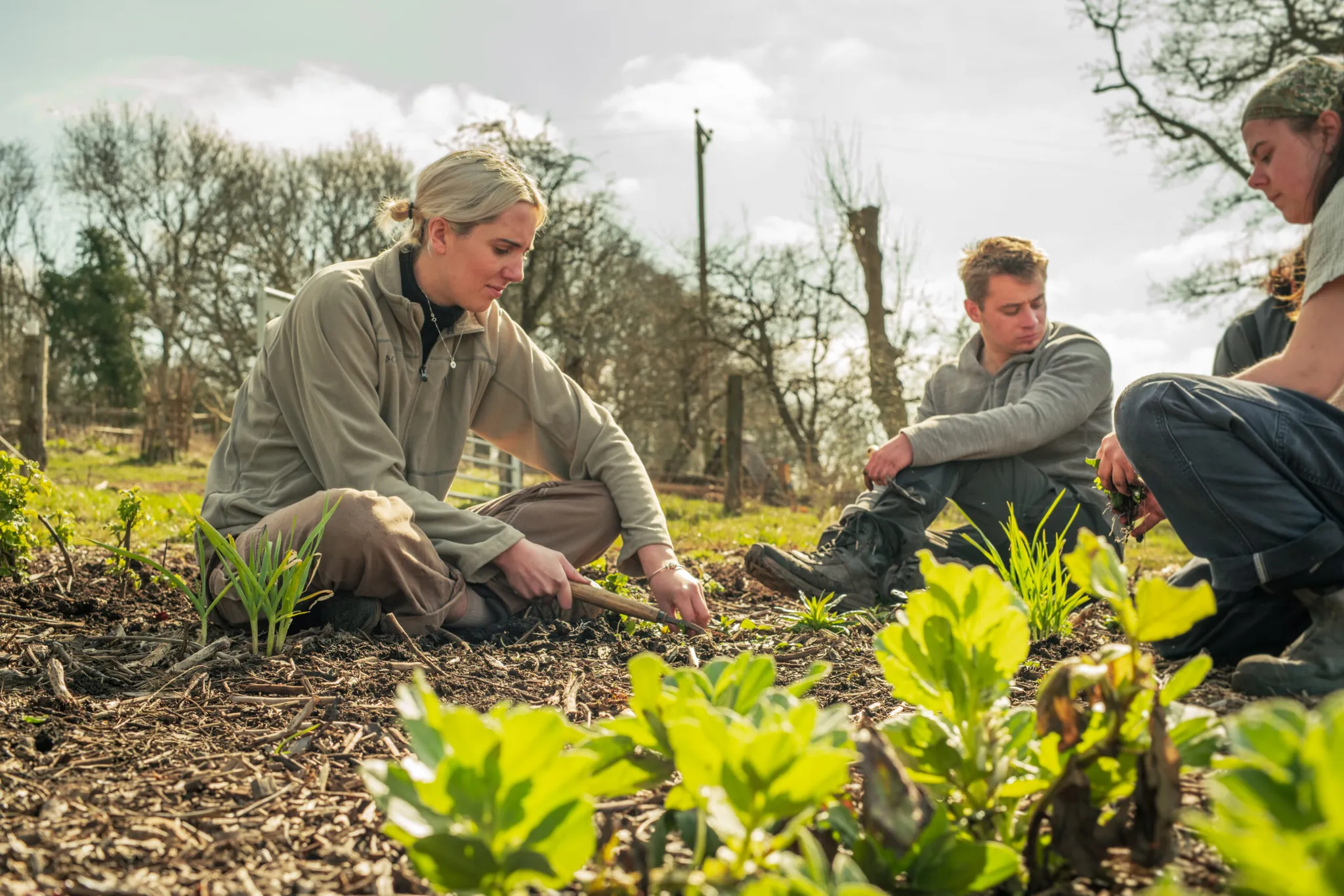 Https blackmountainscollege.uk app uploads 2024 10 bmc farm spring 2025 91 scaled